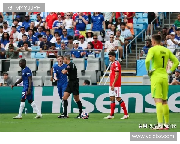 国王杯精彩对决拜仁狂胜本菲卡五球引发全场热议